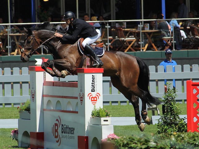 针对目前的 针对目前的