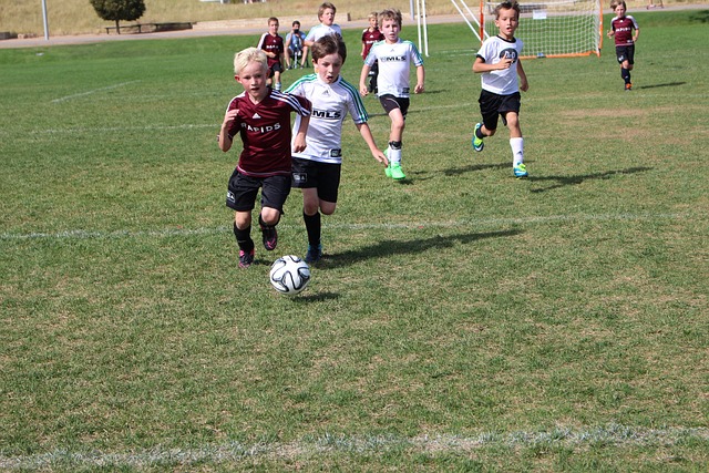 持之以恒地 持之以恒地