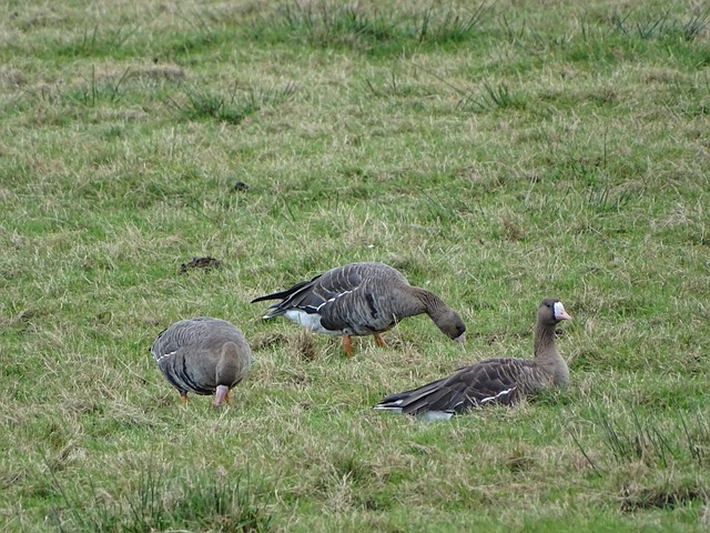 馬丁內斯完 馬丁內斯完