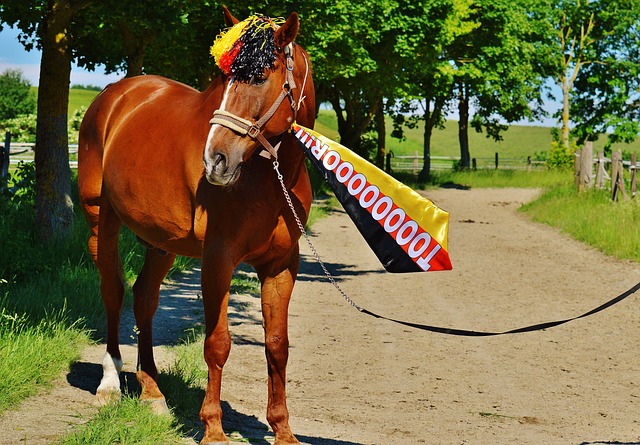 杜兰特对太 杜兰特对太